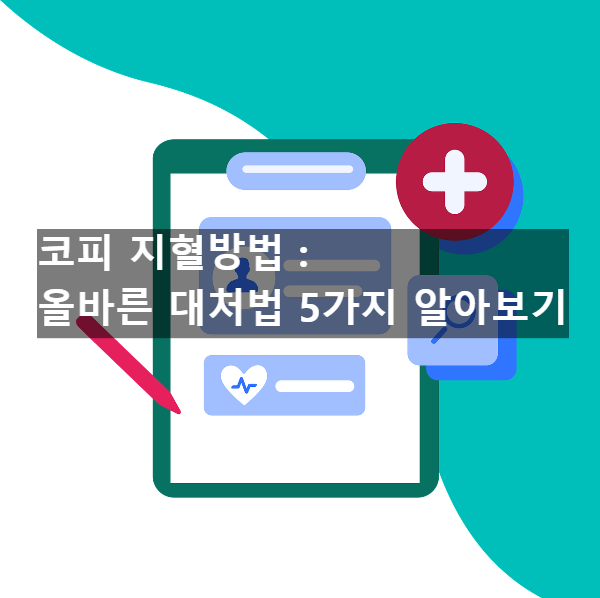  코피 지혈방법 : 올바른 대처법 5가지 알아보기