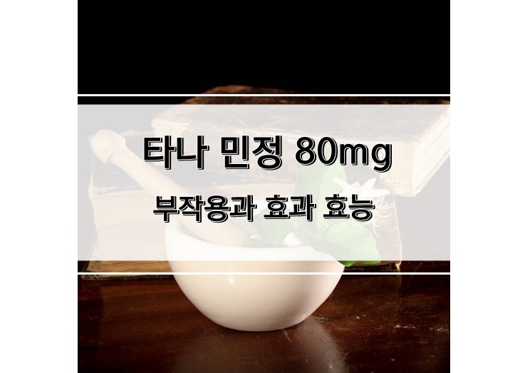 타나 민정 80mg 부작용과 효과 효능