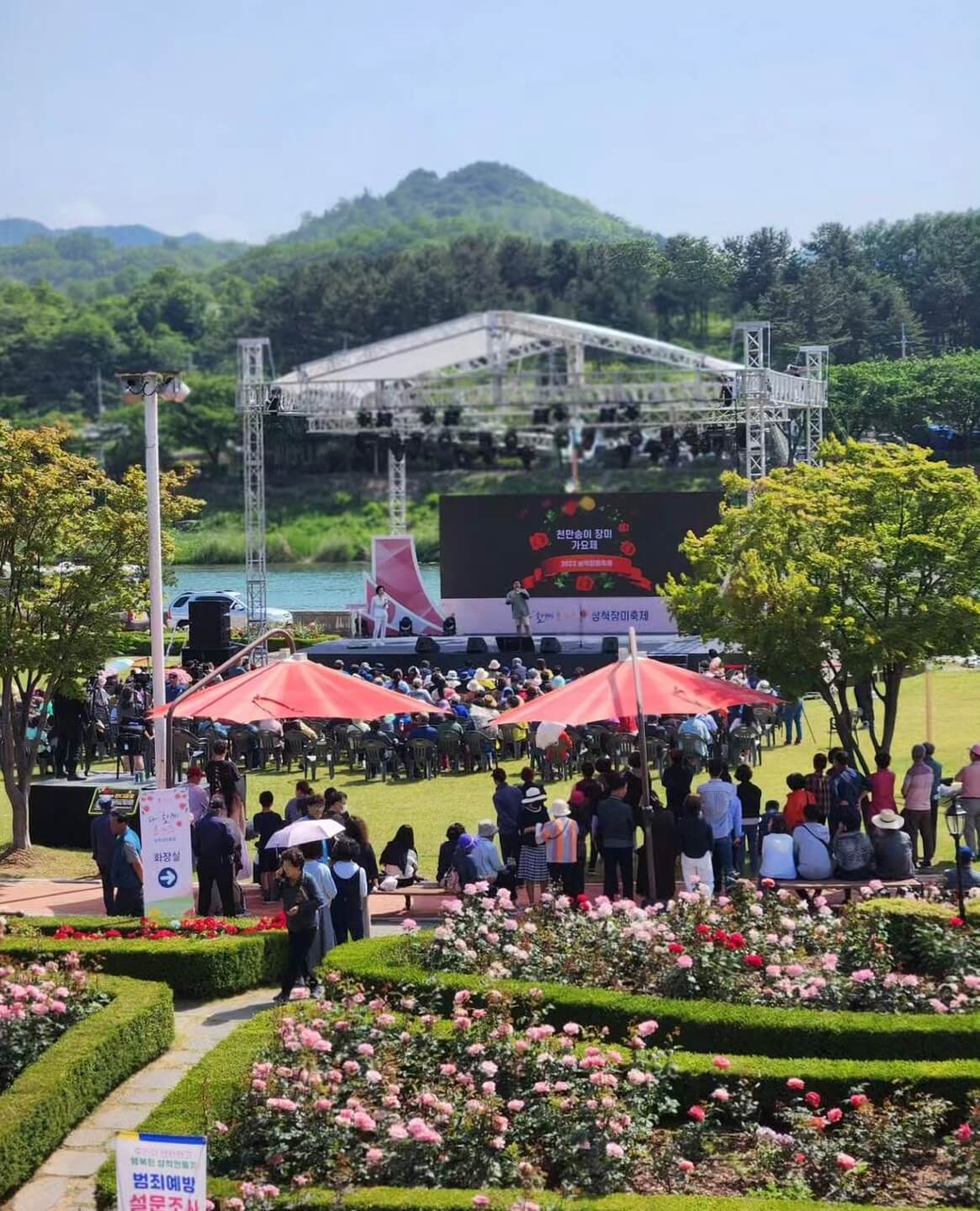 삼척 장미축제