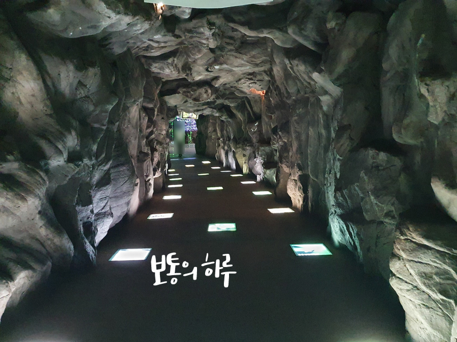 무주 반디랜드 다녀왔어요 대전 근교 가볼만한곳 42