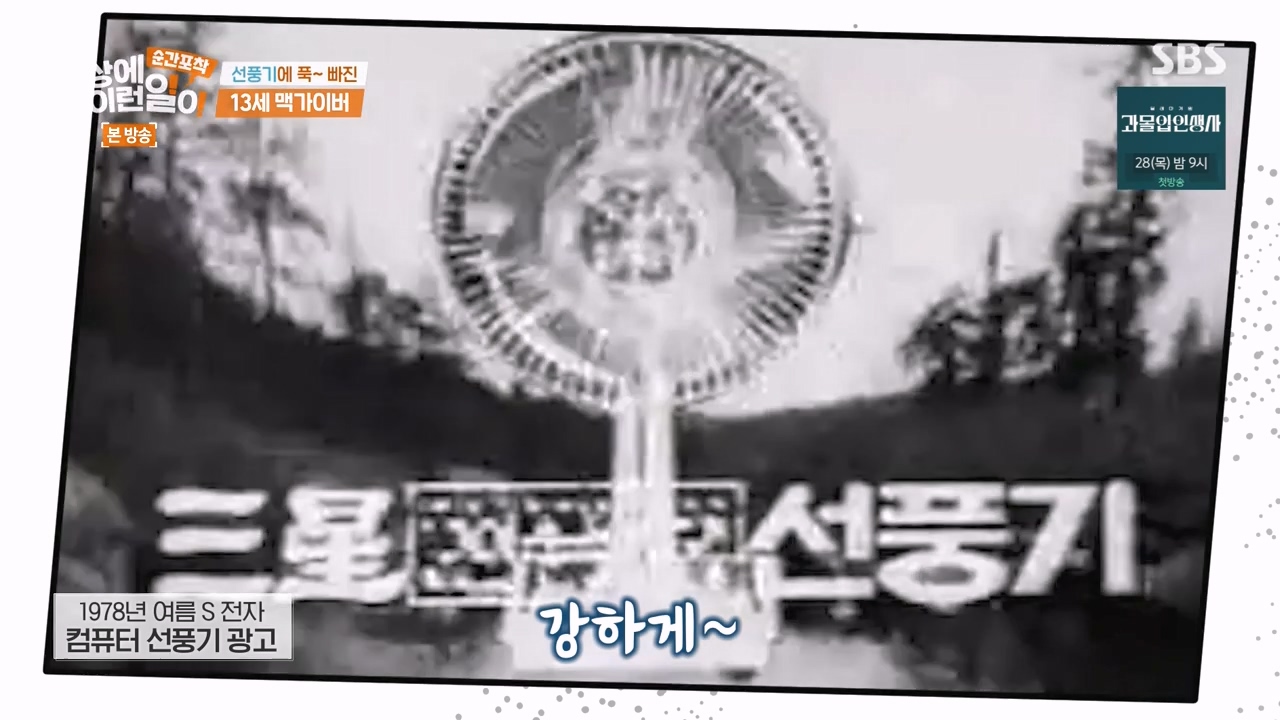 순간포착 세상에 이런일이.E1256.231217p-NEXT.mp4_20231217_172015.252.jpg