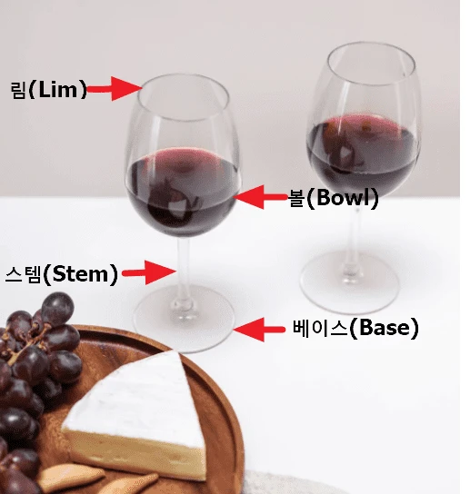 와인잔-위치-표시
