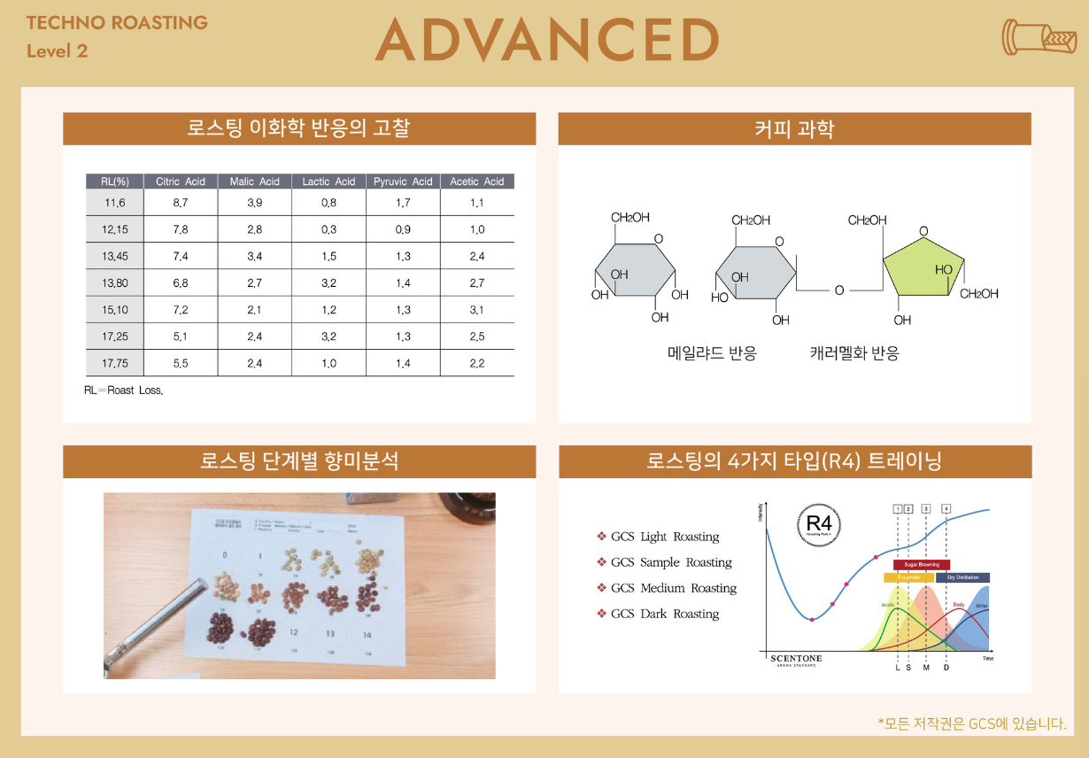 GCS 바리스타 자격증