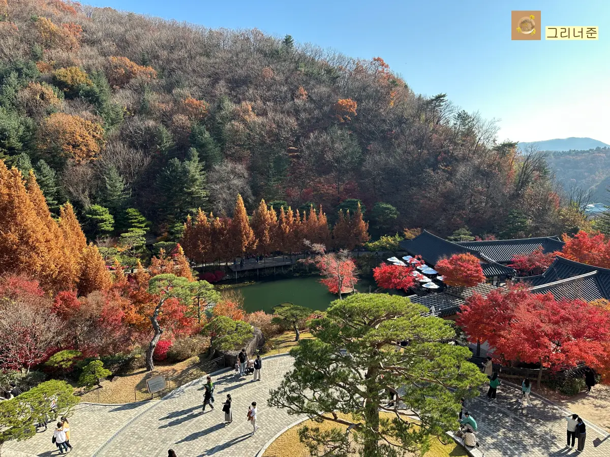 화담채-옥상에서-내려다본-풍경