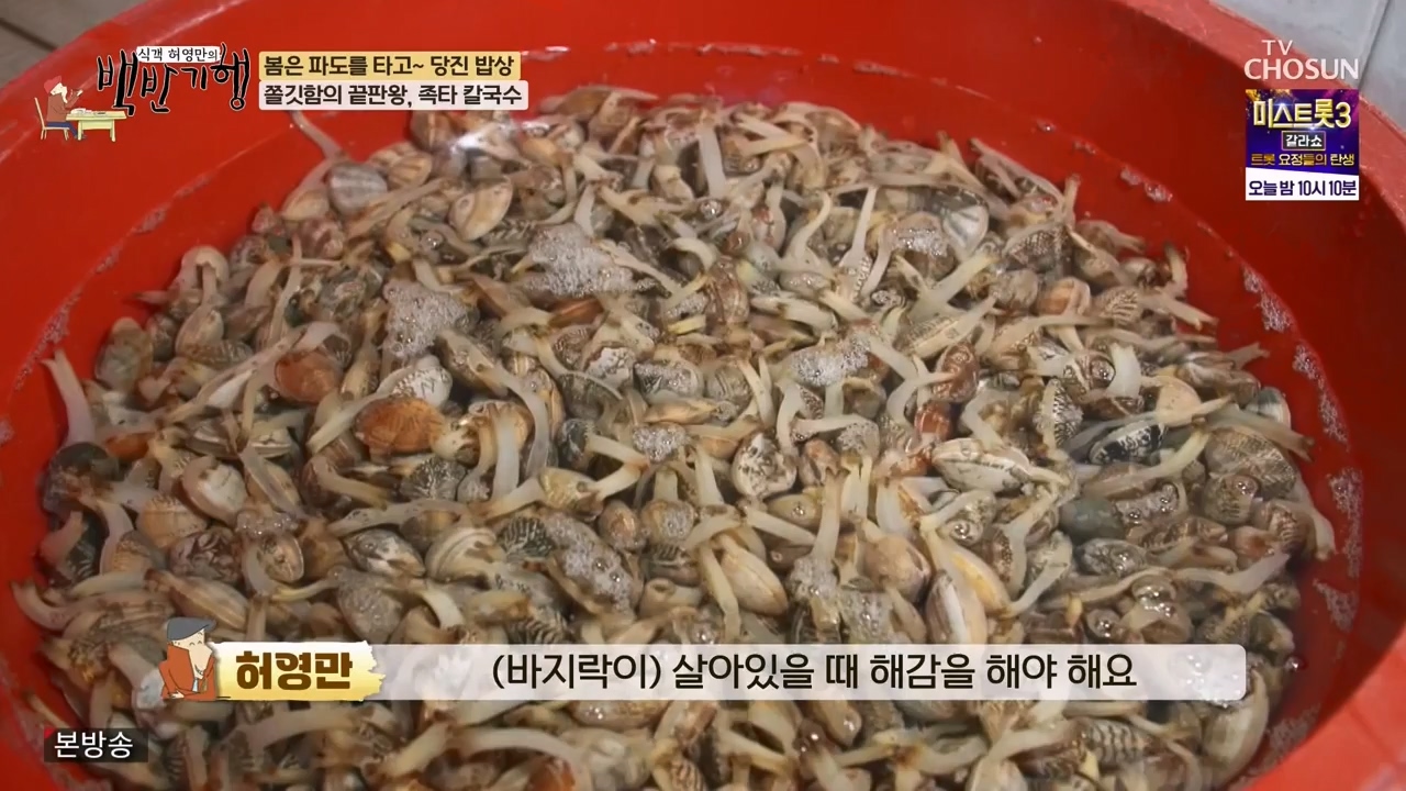 식객 허영만의 백반기행.E239.240318p-NEXT.mp4_20240318_201311.059.jpg