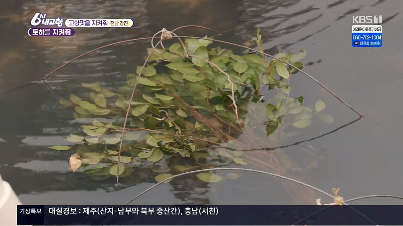 6시 내고향.E7687.221223p.H264-F1RST.mp4_20221229_204149.594.jpg