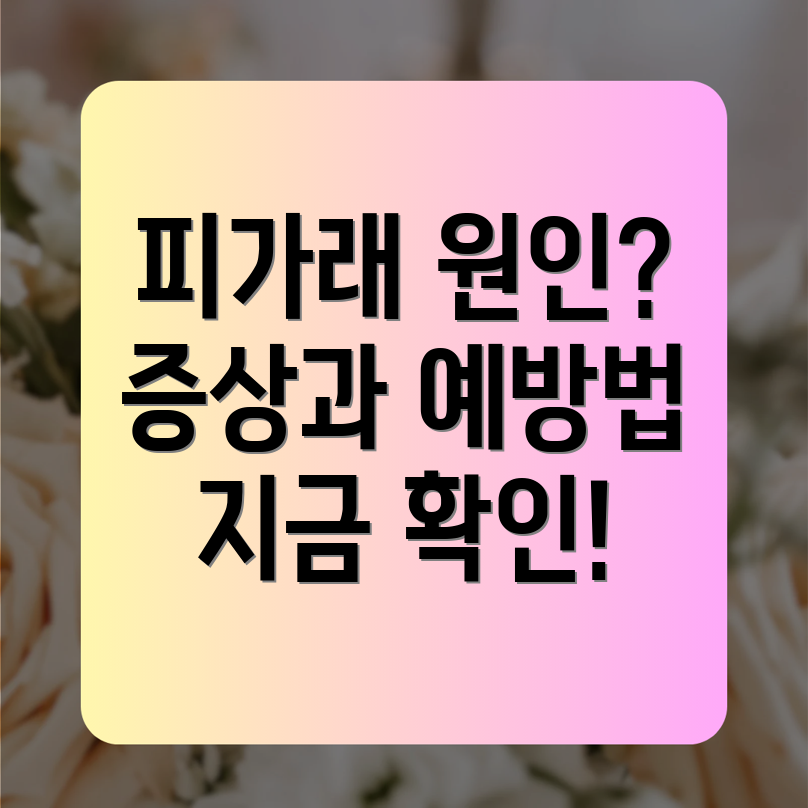 피가래