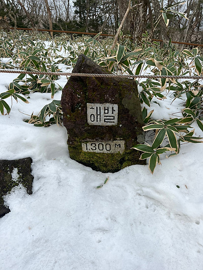제주도 한라산 등반 준비&amp;#44; 필수 장비와 조언