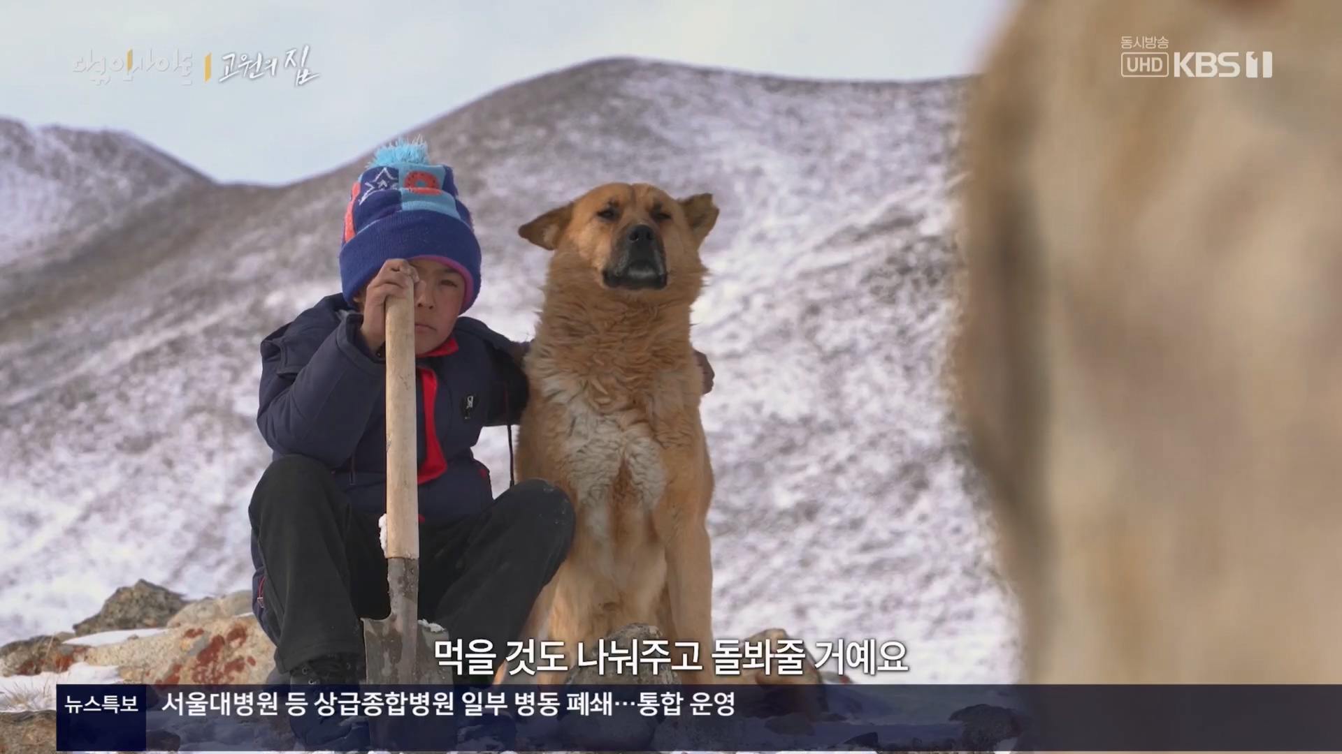 다큐 인사이트.E176.240328p.H264-F1RST.mp4_20240330_161100.811.jpg