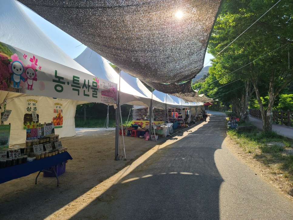 흑약 100대 지리산 바라봉 최단 등산코스 12