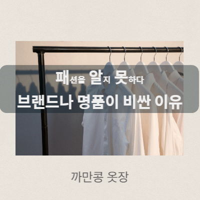 옷을 원가보다 비싸게 판매하는 이유 - 브랜드 - 정가