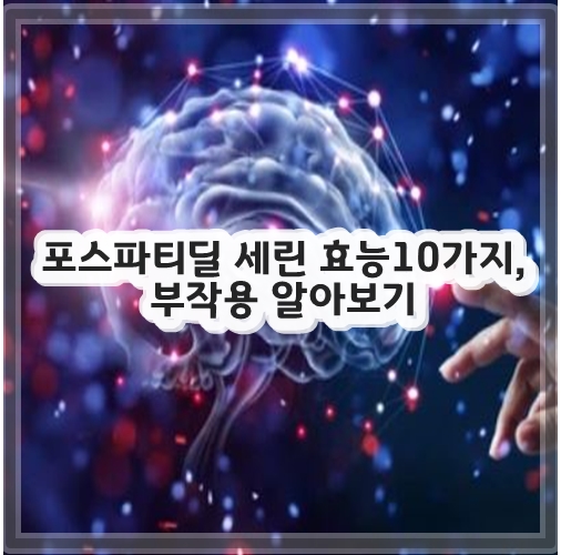 포스파티딜 세린 효능&#44; 부작용 알아보기