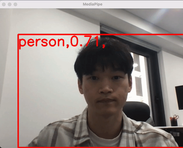 mediapipe detection result