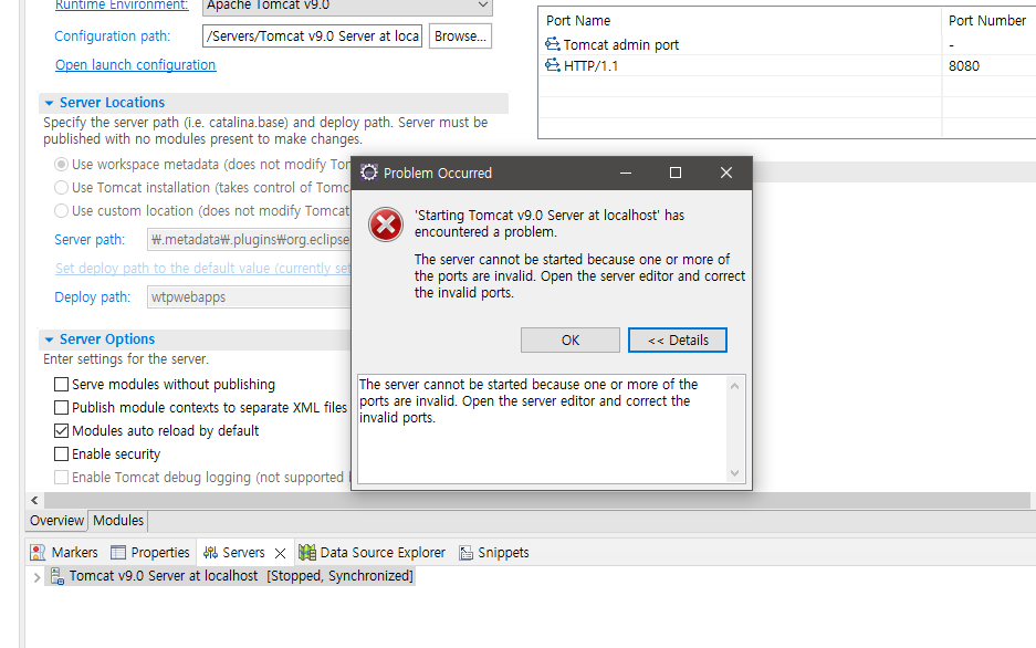 톰캣 에러 조치방법(The server cannot be started because one or more of the