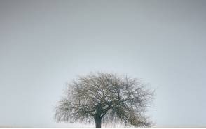 img.jpg