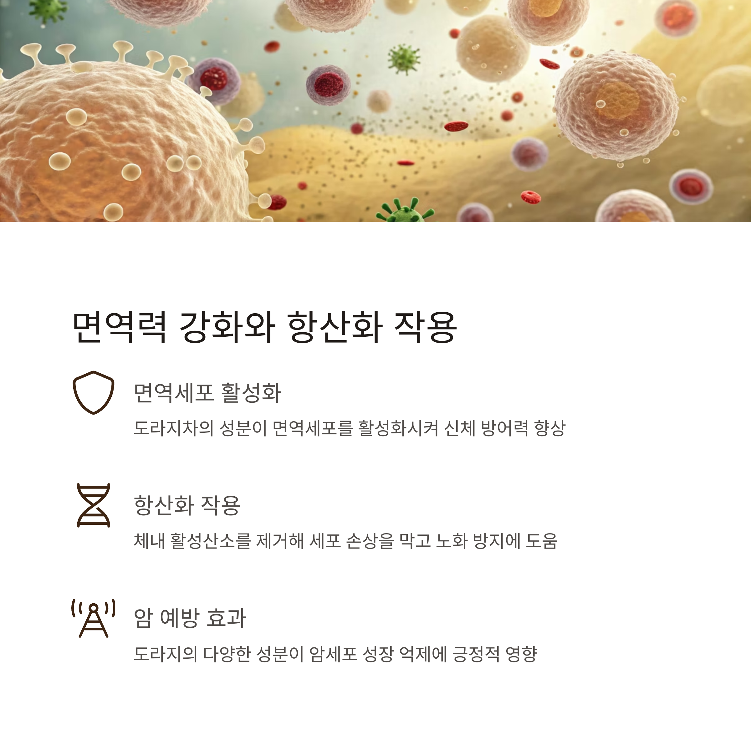 도라지차