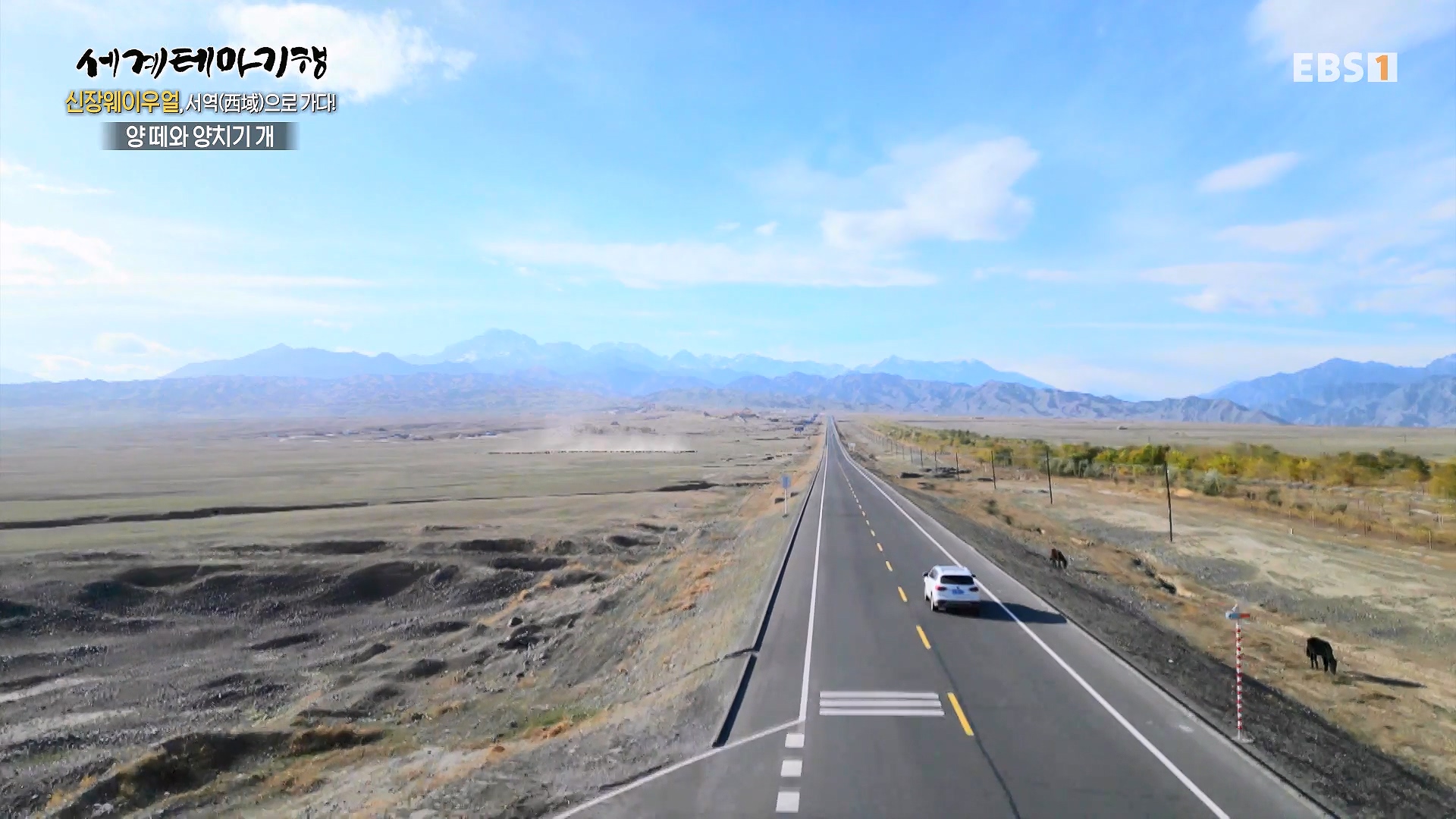 세계테마기행 240102 신장웨이우얼, 서역(西域)으로 가다! -톈산산맥의 보물, 투루판0p.mp4_20240706_172753.975.jpg