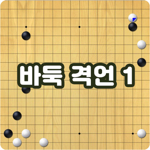  바둑 격언 모음 1