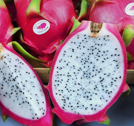 이색적인 과일 용과(Dragon Fruit)에 대해 알아보자!