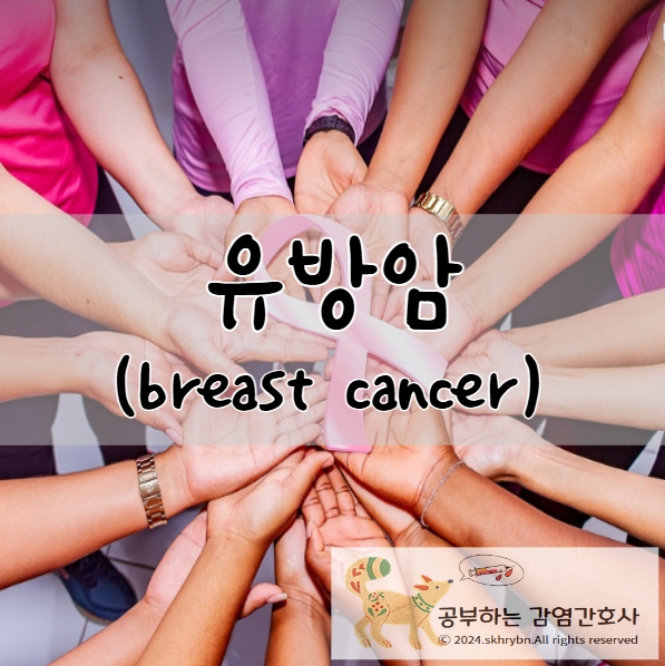 성인 간호_유방암(breast cancer)종류, 초기 증상, 검사, 수술, 간호 진단