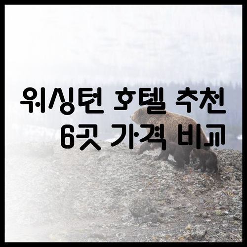 워싱턴 먼로 호텔 추천 6곳 가격 장