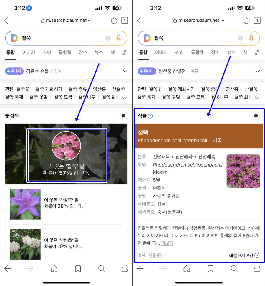 꽃 검색 상세 결과