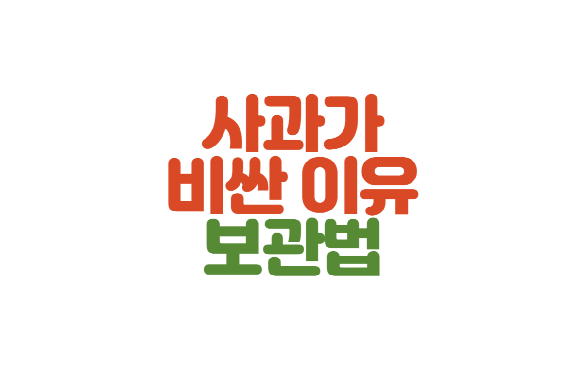 사과가 비싼이유 사과보관법