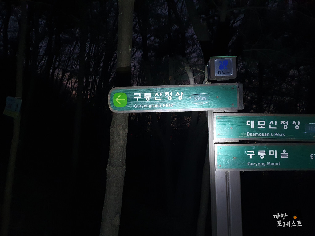 구룡산 야등