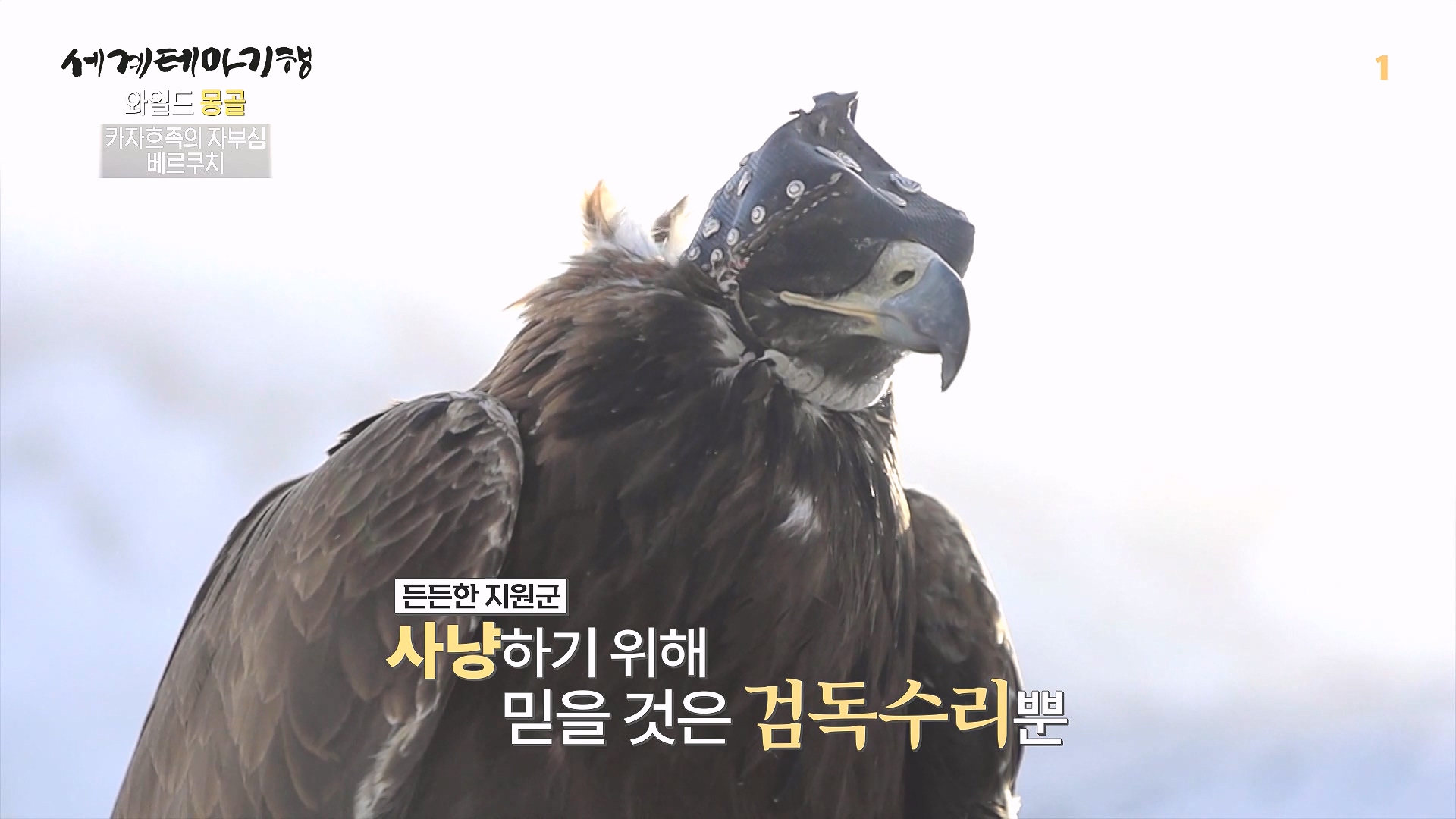 세계테마기행 240215 와일드 몽골 -알타이, 야생의 전설을 찾아서0p.mp4_20240802_204113.209.jpg
