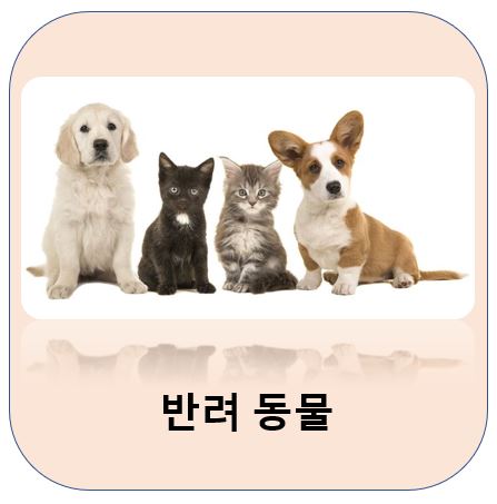 반려 동물