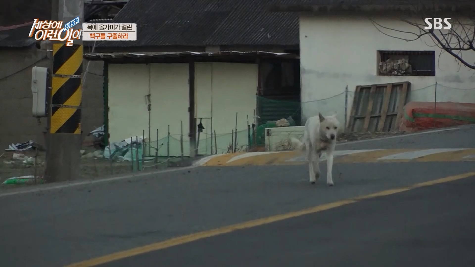 순간포착 세상에 이런일이.E1219.230228p.H264-F1RST.mp4_20230301_165034.786.jpg