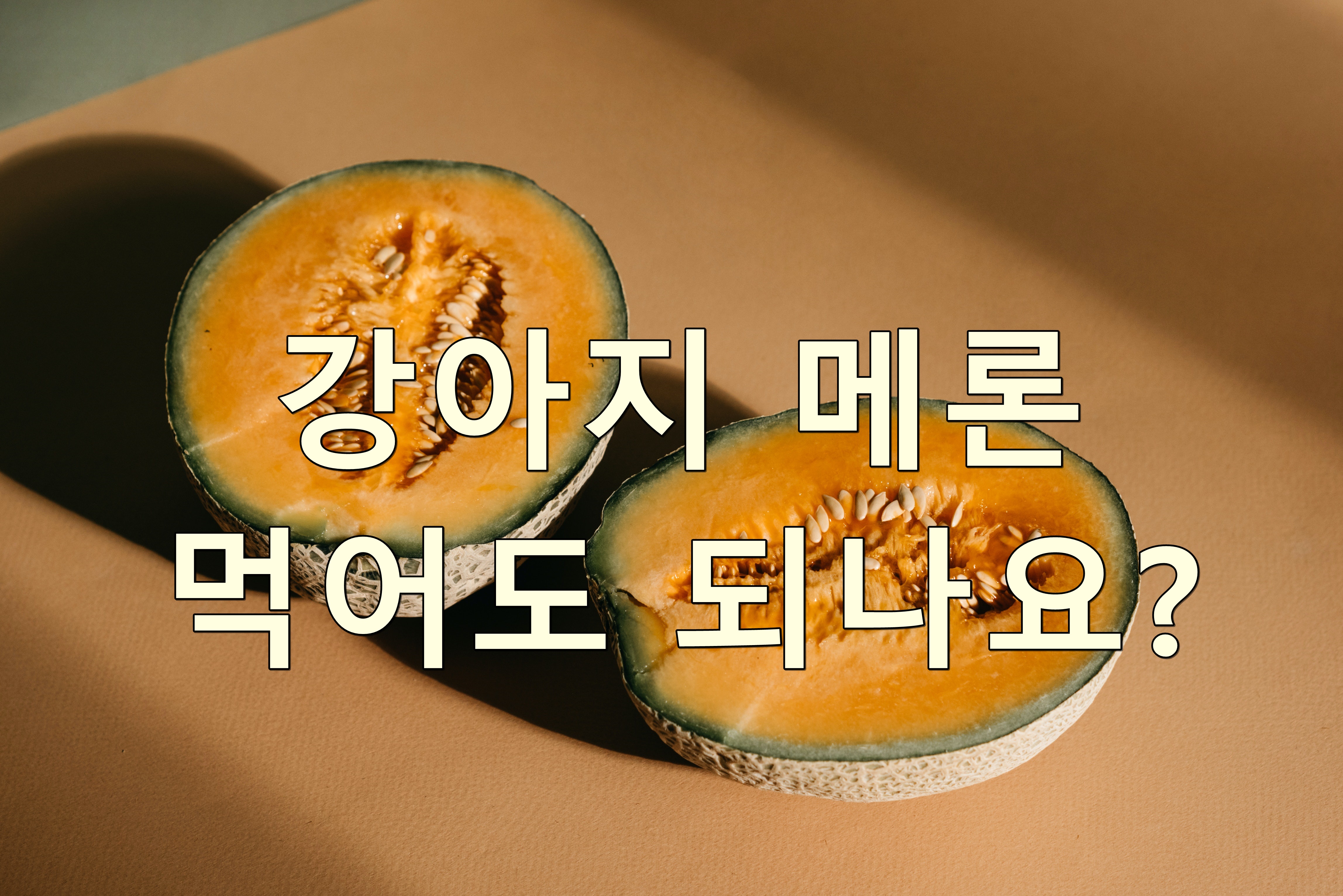 강아지 메론 먹어도 되나요