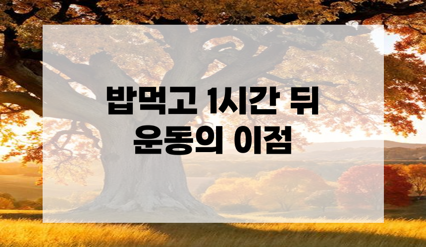 밥먹고 1시간 뒤 운동의 이점