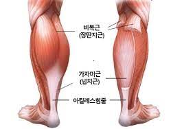  종아리 운동 중요성 효과 심장을 위해서 해야하는 이유