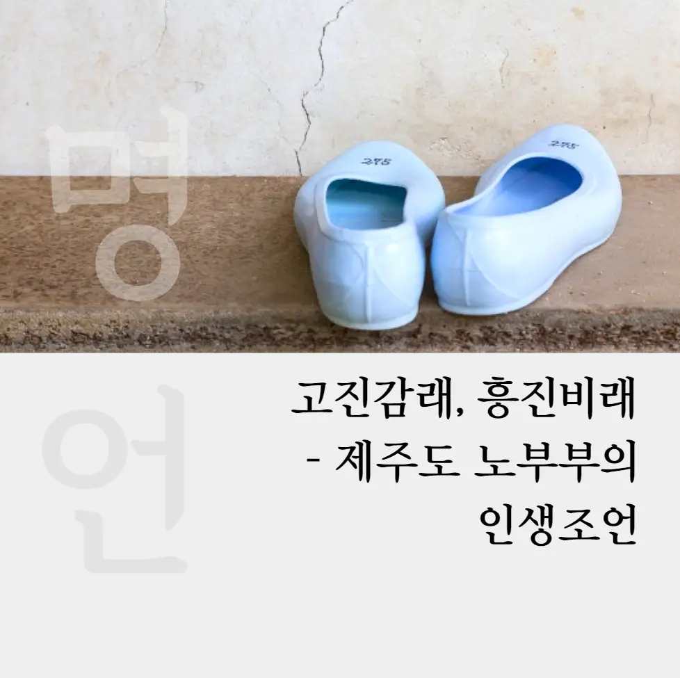 인생조언