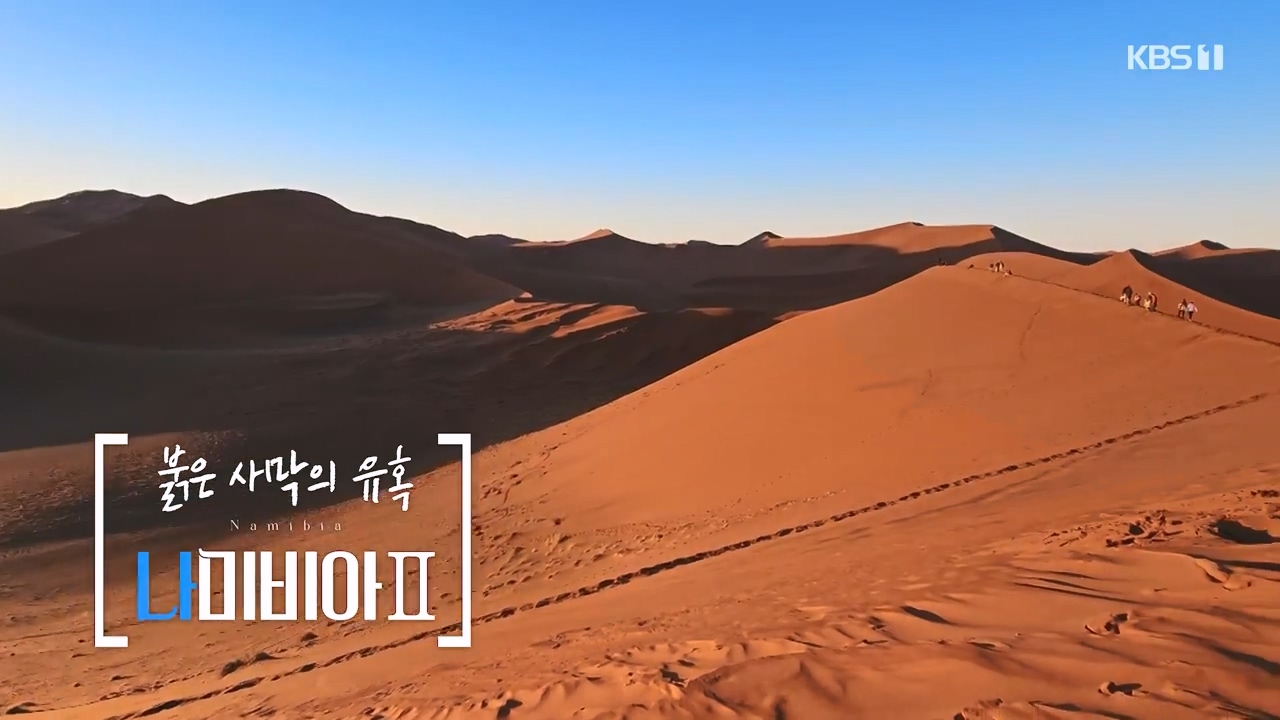 걸어서 세계속으로.E816.231105p-NEXT.mp4_20231104_173410.982.jpg