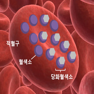 당화혈색소