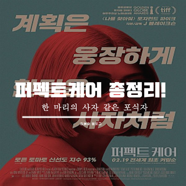  영화 퍼펙트 케어 줄거리 결말 후기 쿠키영상 넷플릭스