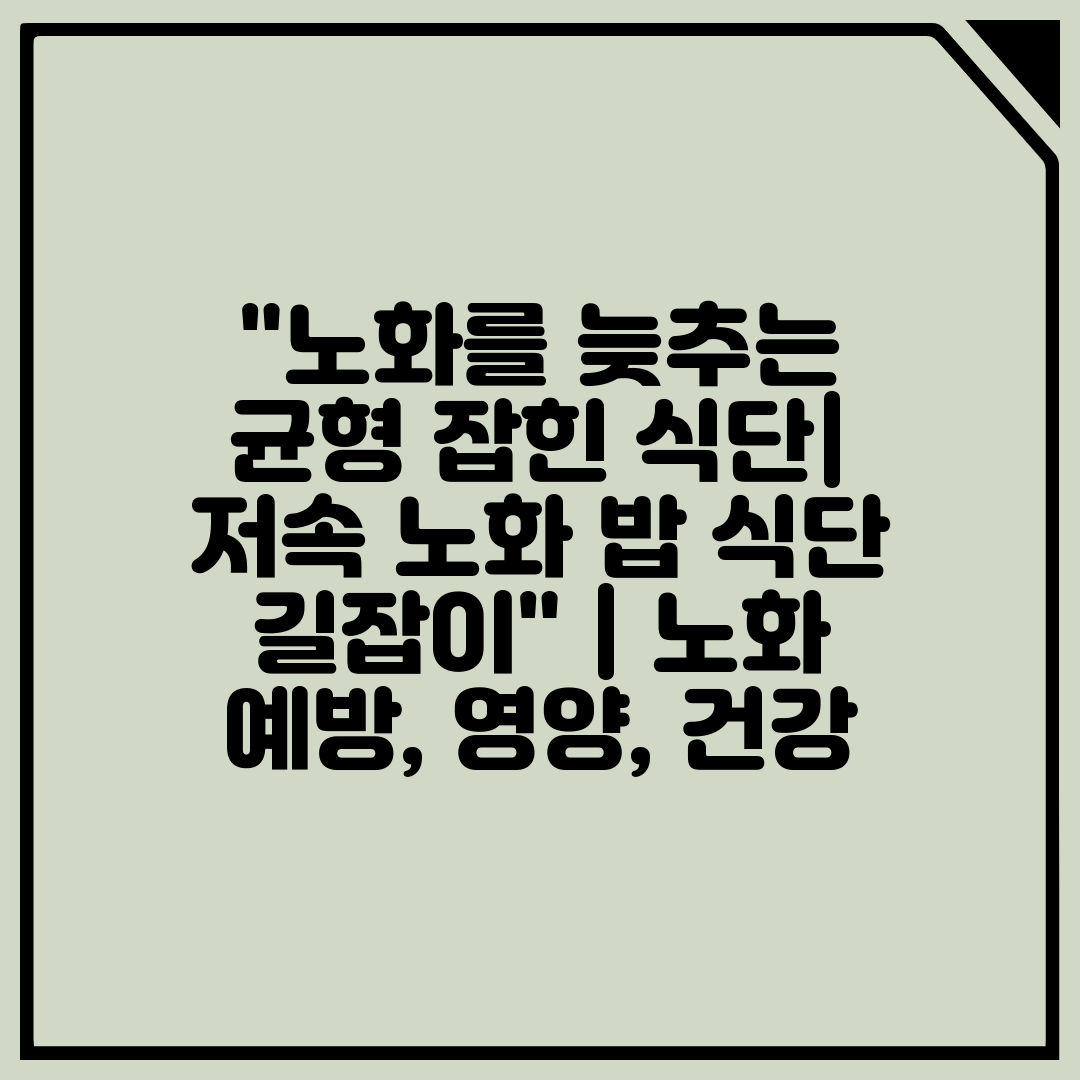 노화를 늦추는 균형 잡힌 식단 저속 노화 밥 식단 길잡