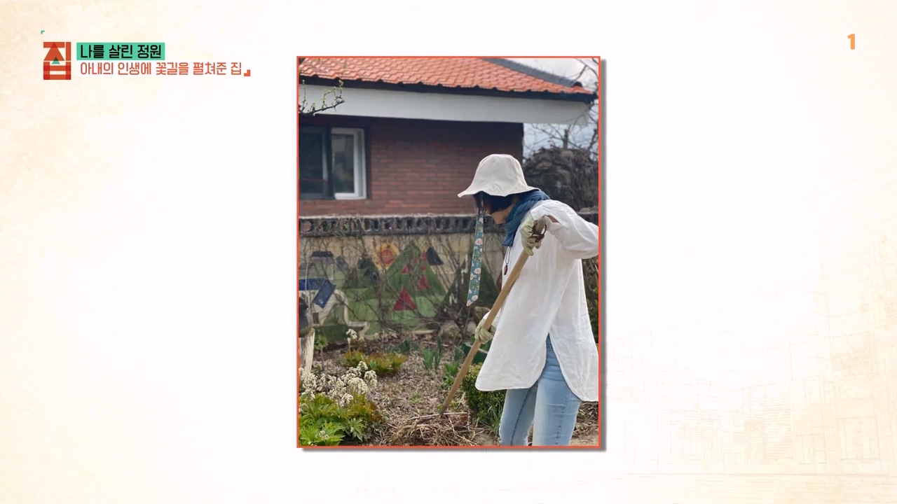 TV - 전 국민의 평생학교 EBS나를 살린 정원.mp4_20230814_210028.885.jpg