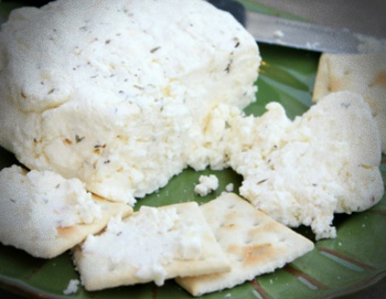 쉐브르-치즈