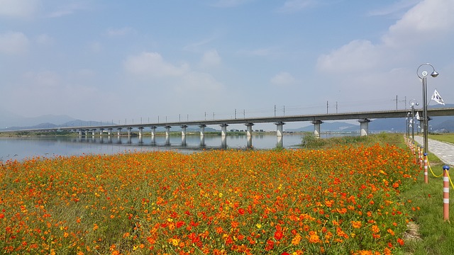 2025년 설날 기차표( KTX) 예매 일정 및 방법: 놓치지 말아야 할 정보
