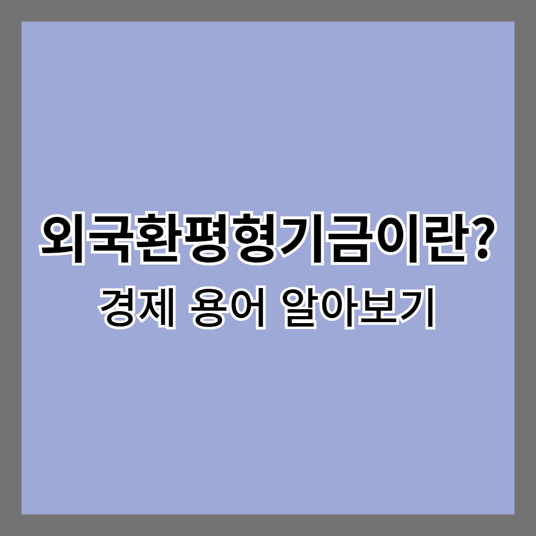 외국환평형기금이란?