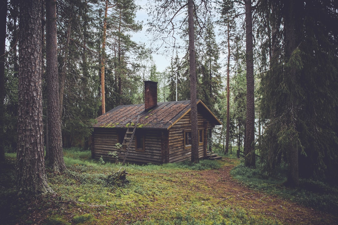 'Cabin'