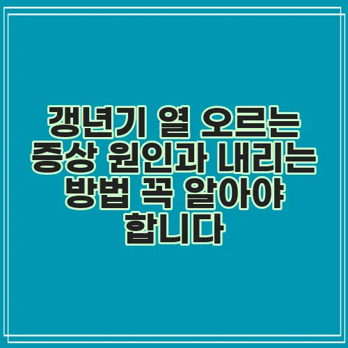 갱년기 열 오르는 증상 원인과 내리는 방법 꼭 알아야 합니다