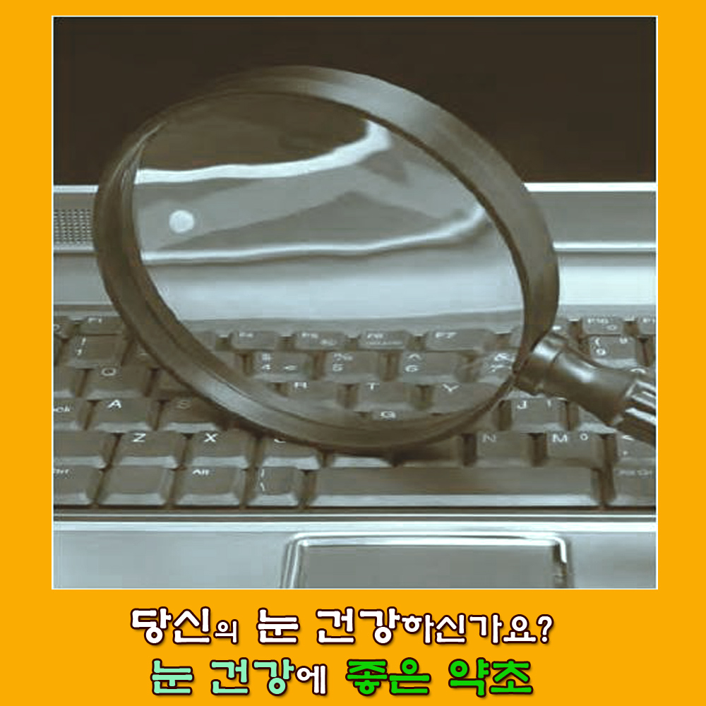  노안.눈 건강.노안 증상.눈건강에 좋은 식품