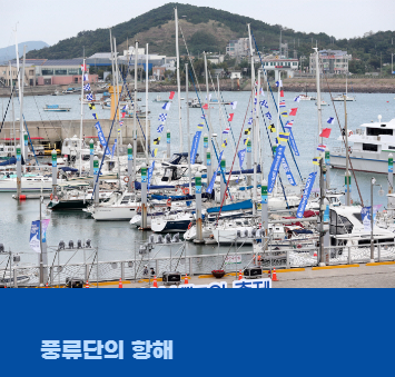 화성 뱃놀이 축제 기본 정보, 공연 및 체험 프로그램 안내 (feat. 주차,해적선)