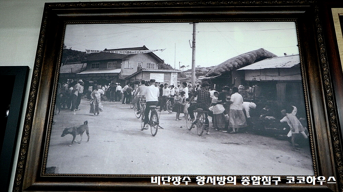 고성 대진항 수산시장 먹거리 맛집! 15