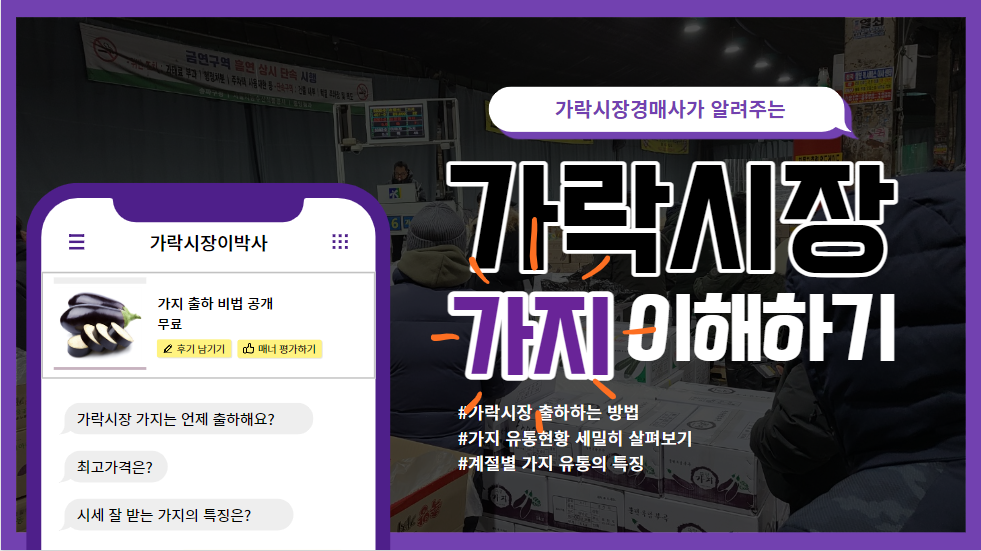  가락시장에서의 가지 유통현황은?