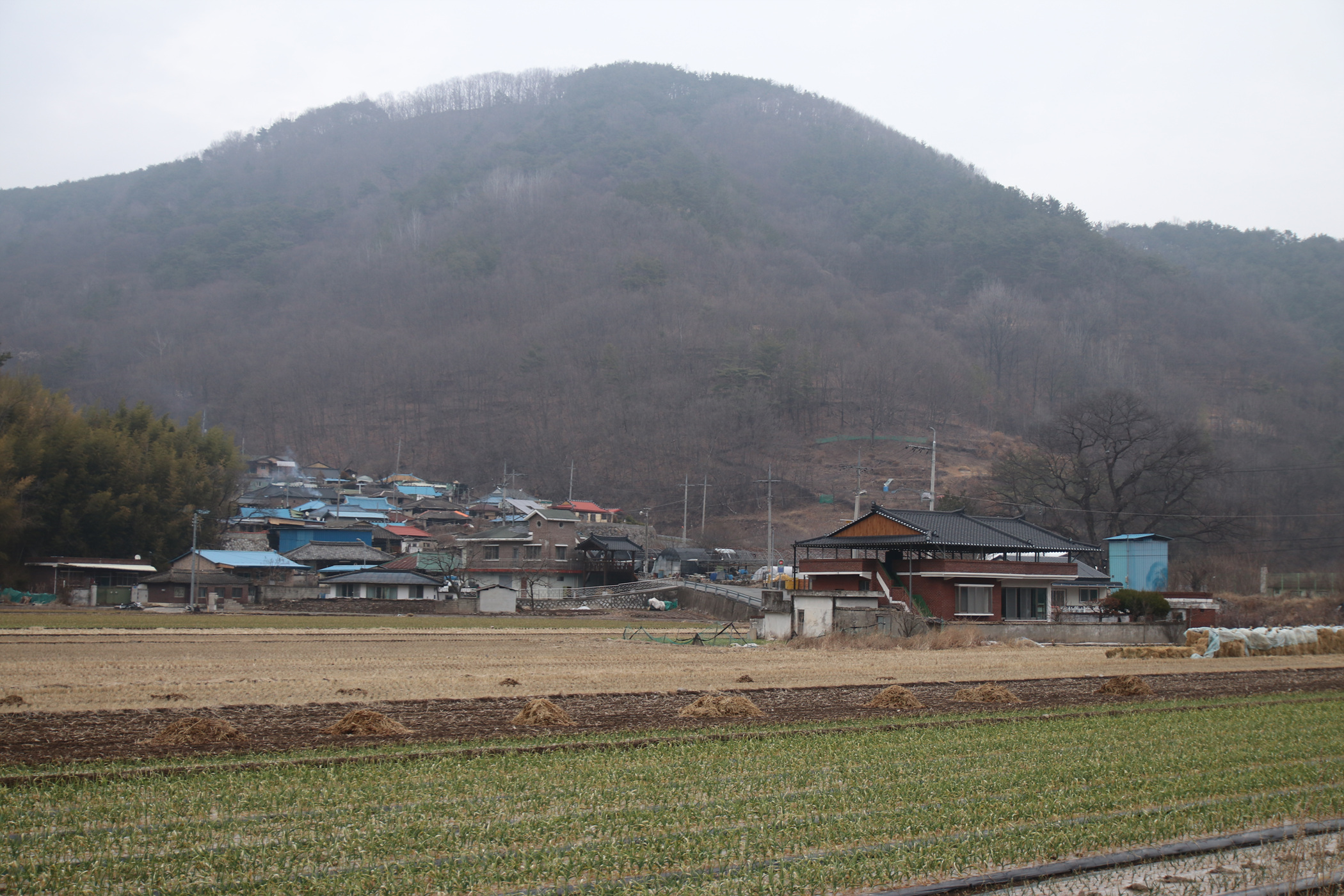 경남 의령군 국사봉 05 86